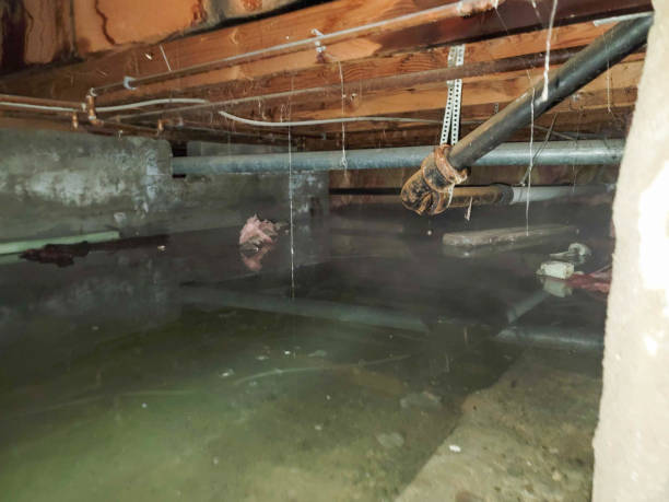 Best Water damage restoration near me  in Chamberlain, SD