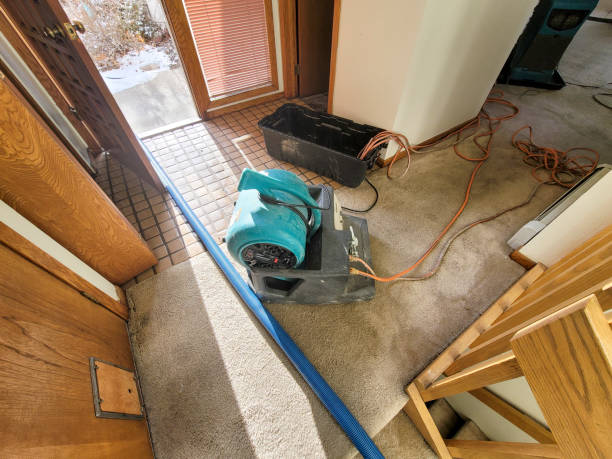 Best Water damage restoration mold remediation  in Chamberlain, SD
