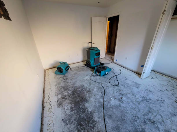 Best Local water damage restoration  in Chamberlain, SD